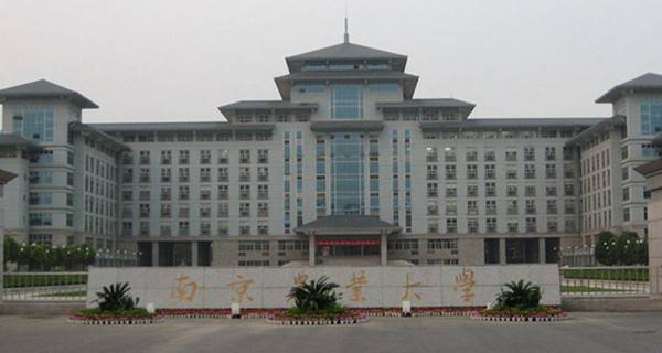 南京农业大学有几个校区及校区地址