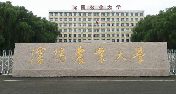 沈阳农业大学有几个校区及校区地址