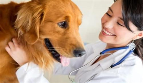 全国开设动物药学专业有哪些院校