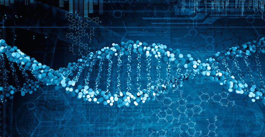 生物信息学专业大学排名 2018最新排行榜