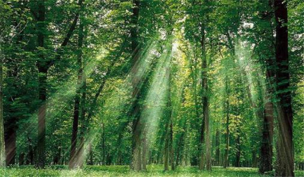 全国开设植物保护专业有哪些专科院校