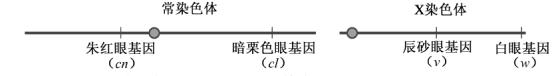 2018江苏高考生物试题【Word真题试卷】