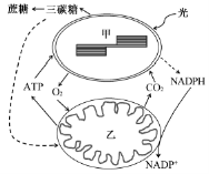 2018江苏高考生物试题【Word真题试卷】