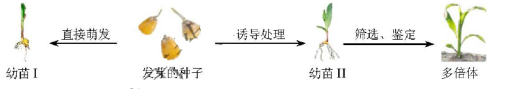 2018天津高考理综试题及答案【Word真题试卷】