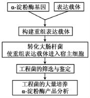 2018江苏高考生物试题【Word真题试卷】